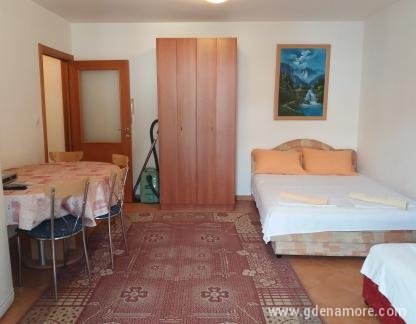Wohnung Snezana, Privatunterkunft im Ort Budva, Montenegro - 1